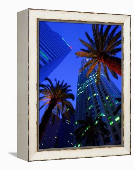 Citibank Center and Palm Trees from Below, Los Angeles, United States of America-Richard Cummins-Framed Premier Image Canvas