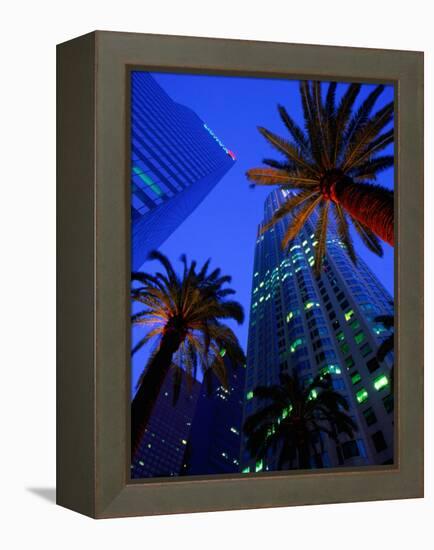 Citibank Center and Palm Trees from Below, Los Angeles, United States of America-Richard Cummins-Framed Premier Image Canvas