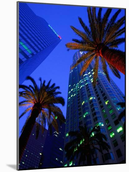 Citibank Center and Palm Trees from Below, Los Angeles, United States of America-Richard Cummins-Mounted Photographic Print