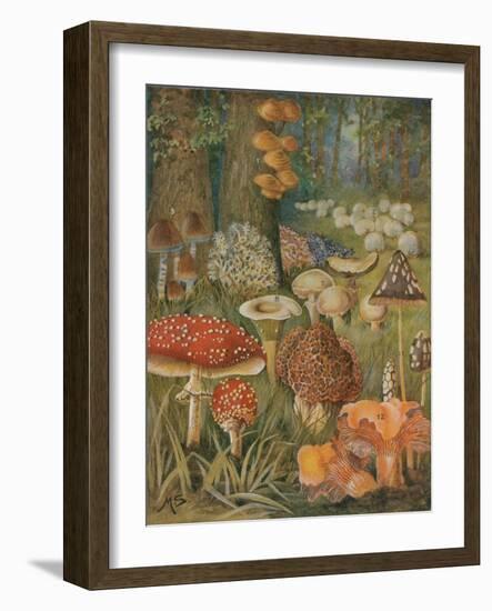 Citizens of the Land of Mushrooms-Science Source-Framed Giclee Print