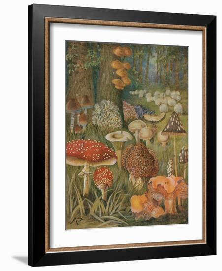 Citizens of the Land of Mushrooms-Science Source-Framed Giclee Print