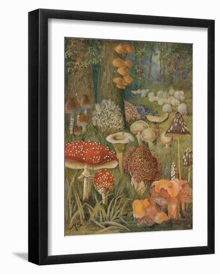 Citizens of the Land of Mushrooms-Science Source-Framed Giclee Print