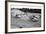 Citroën 2Cvs at an Auto-Cross-null-Framed Photographic Print