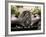 Citroen 4Cv, Gargillesse Village, Creuse, Loire Valley, France-David Hughes-Framed Photographic Print