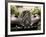 Citroen 4Cv, Gargillesse Village, Creuse, Loire Valley, France-David Hughes-Framed Photographic Print