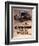 Citroen 8cv Petite Rosalie-null-Framed Photographic Print