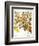 Citron And Orange, 1613-Besler Basilius-Framed Giclee Print