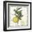 Citron IV-Sophie 6-Framed Art Print