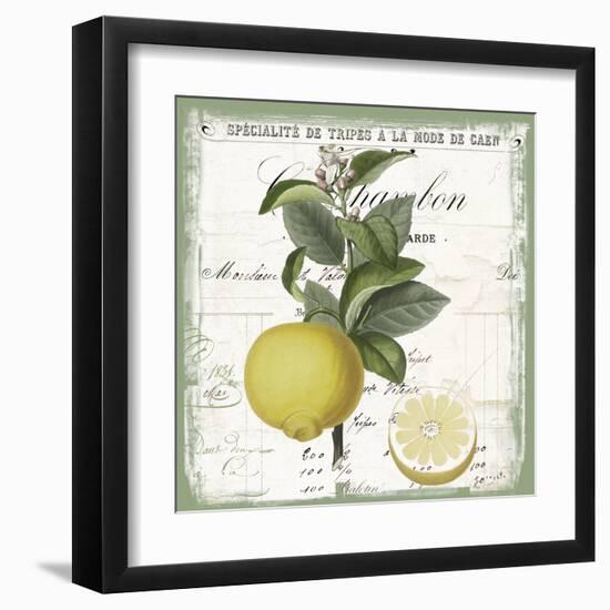 Citron IV-Sophie 6-Framed Art Print