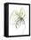 Citron Modern Botanical-Jan Weiss-Framed Stretched Canvas