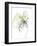 Citron Modern Botanical-Jan Weiss-Framed Art Print