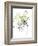 Citron Modern Botanical-Jan Weiss-Framed Art Print