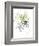 Citron Modern Botanical-Jan Weiss-Framed Art Print