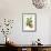 Citron with Monkey Slug and a Harlequin Beetle-Maria Sibylla Merian-Framed Art Print displayed on a wall