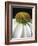 Citrus Coneflower-Assaf Frank-Framed Giclee Print