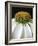 Citrus Coneflower-Assaf Frank-Framed Giclee Print