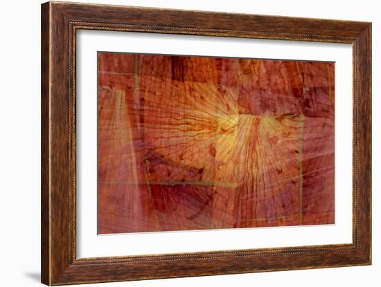 Citrus Dreams-Doug Chinnery-Framed Photographic Print