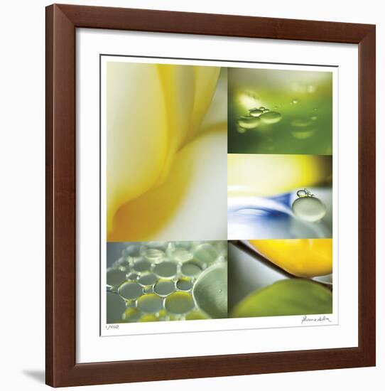 Citrus Drops-Florence Delva-Framed Giclee Print