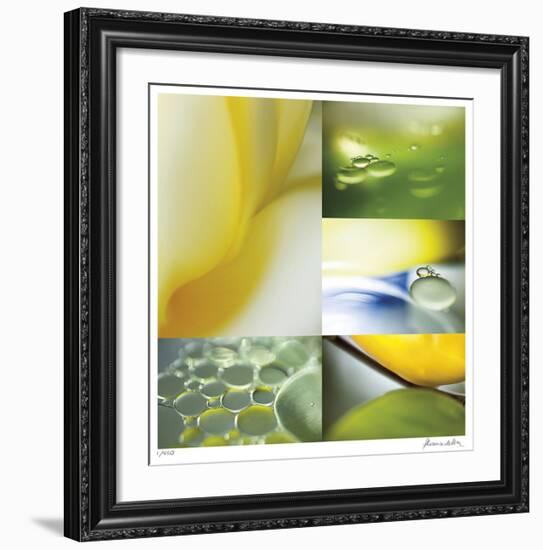 Citrus Drops-Florence Delva-Framed Giclee Print