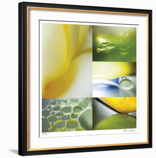 Citrus Drops-Florence Delva-Framed Giclee Print