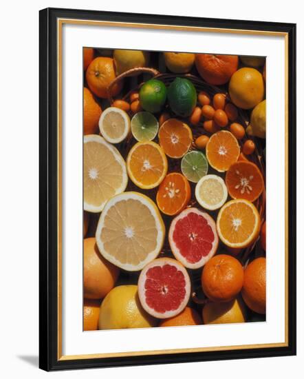 Citrus Fruits, Orange, Grapefruit, Lemon, Sliced in Half Showing Different Colours, Europe-Reinhard-Framed Photographic Print