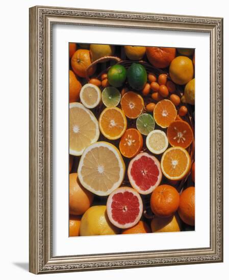 Citrus Fruits, Orange, Grapefruit, Lemon, Sliced in Half Showing Different Colours, Europe-Reinhard-Framed Photographic Print