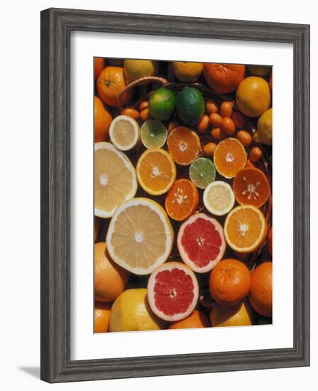 Citrus Fruits, Orange, Grapefruit, Lemon, Sliced in Half Showing Different Colours, Europe-Reinhard-Framed Photographic Print