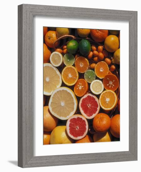 Citrus Fruits, Orange, Grapefruit, Lemon, Sliced in Half Showing Different Colours, Europe-Reinhard-Framed Photographic Print