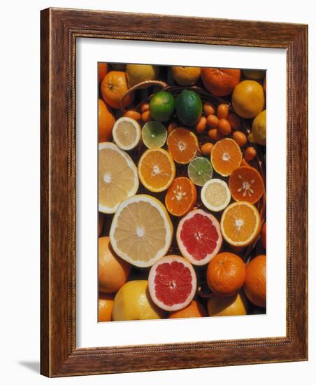 Citrus Fruits, Orange, Grapefruit, Lemon, Sliced in Half Showing Different Colours, Europe-Reinhard-Framed Photographic Print