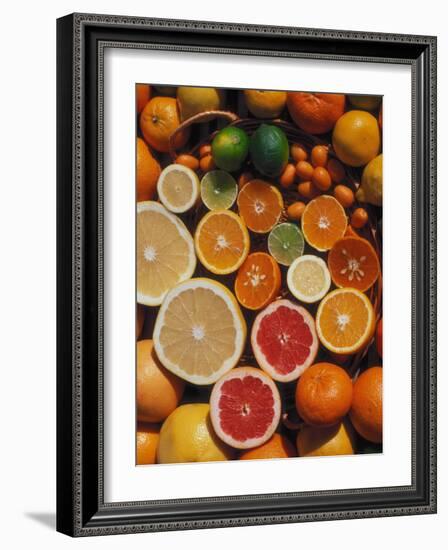 Citrus Fruits, Orange, Grapefruit, Lemon, Sliced in Half Showing Different Colours, Europe-Reinhard-Framed Photographic Print