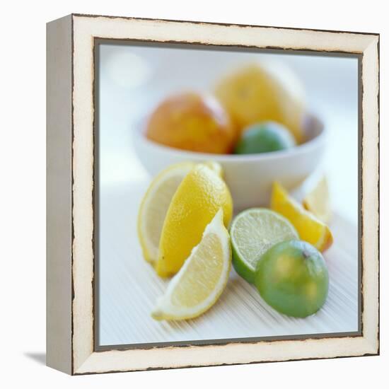 Citrus Fruits-David Munns-Framed Premier Image Canvas