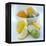 Citrus Fruits-David Munns-Framed Premier Image Canvas