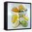 Citrus Fruits-David Munns-Framed Premier Image Canvas