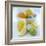 Citrus Fruits-David Munns-Framed Premium Photographic Print