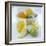 Citrus Fruits-David Munns-Framed Premium Photographic Print