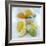 Citrus Fruits-David Munns-Framed Premium Photographic Print