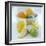 Citrus Fruits-David Munns-Framed Premium Photographic Print