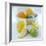 Citrus Fruits-David Munns-Framed Premium Photographic Print