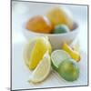 Citrus Fruits-David Munns-Mounted Premium Photographic Print