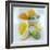 Citrus Fruits-David Munns-Framed Premium Photographic Print