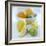 Citrus Fruits-David Munns-Framed Premium Photographic Print