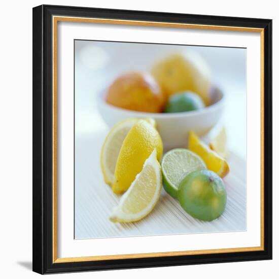 Citrus Fruits-David Munns-Framed Premium Photographic Print