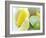 Citrus Fruits-David Munns-Framed Photographic Print