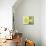 Citrus Fruits-David Munns-Mounted Photographic Print displayed on a wall