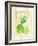 Citrus Orchard 4-Patricia Haberler-Framed Art Print