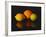 Citrus Reflections-Monika Burkhart-Framed Photographic Print