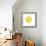 Citrus Slice-Kristine Hegre-Framed Giclee Print displayed on a wall