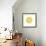 Citrus Slice-Kristine Hegre-Framed Giclee Print displayed on a wall