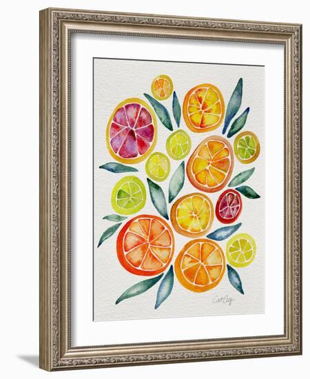 Citrus Slices-Cat Coquillette-Framed Giclee Print