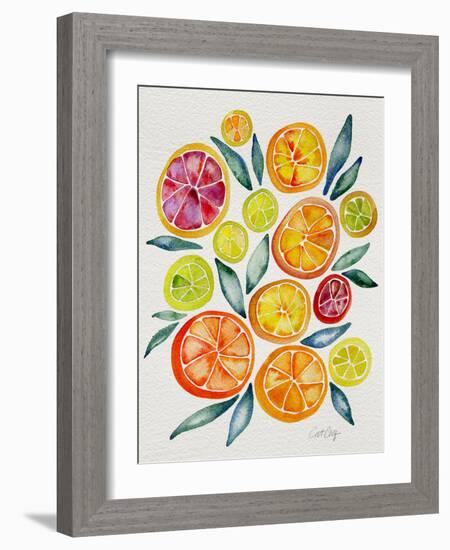 Citrus Slices-Cat Coquillette-Framed Giclee Print